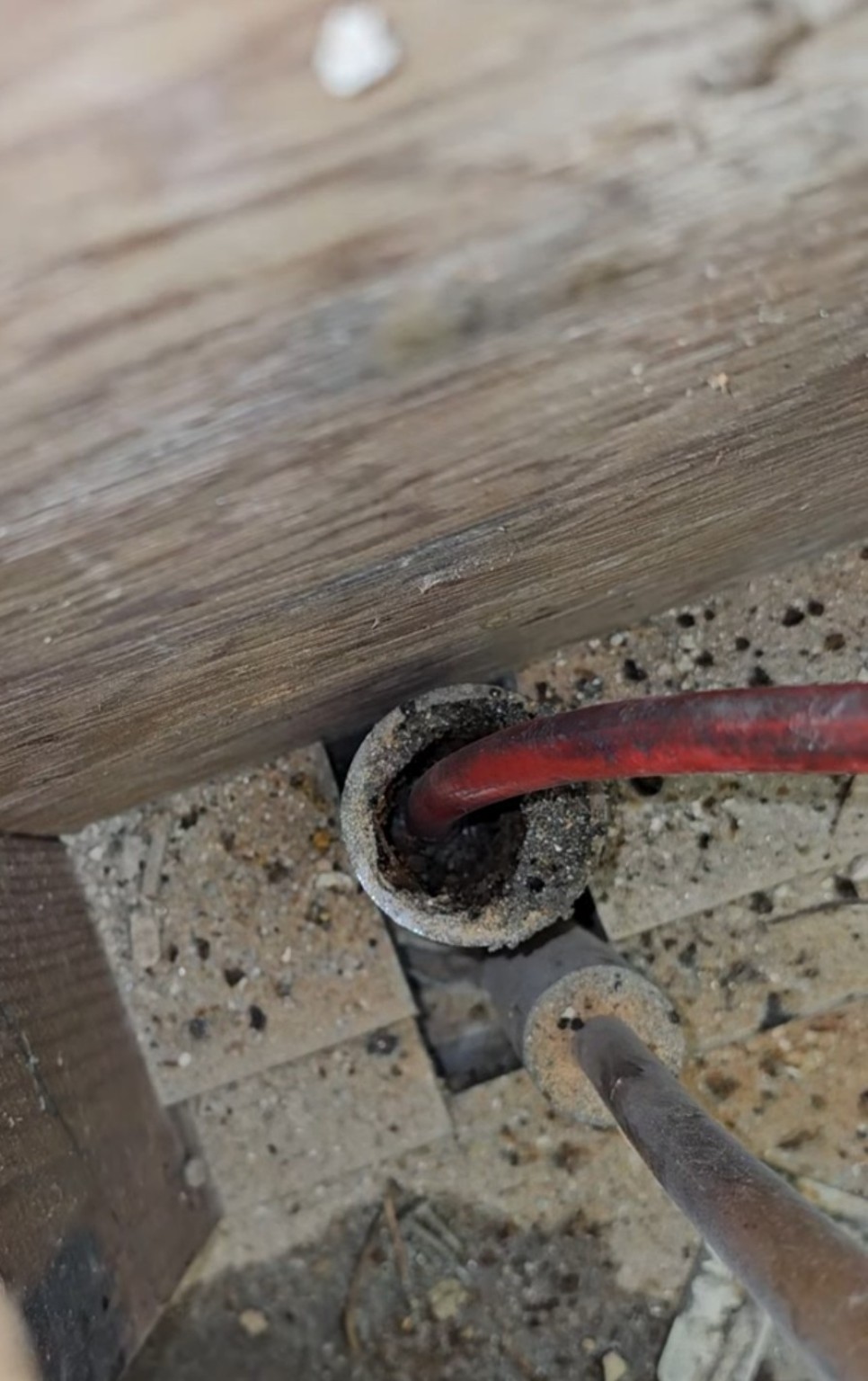 Before chain cleaning showing heavy buildup inside a San Diego drainpipe